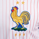 France FFF 2024/25 Stadium Away