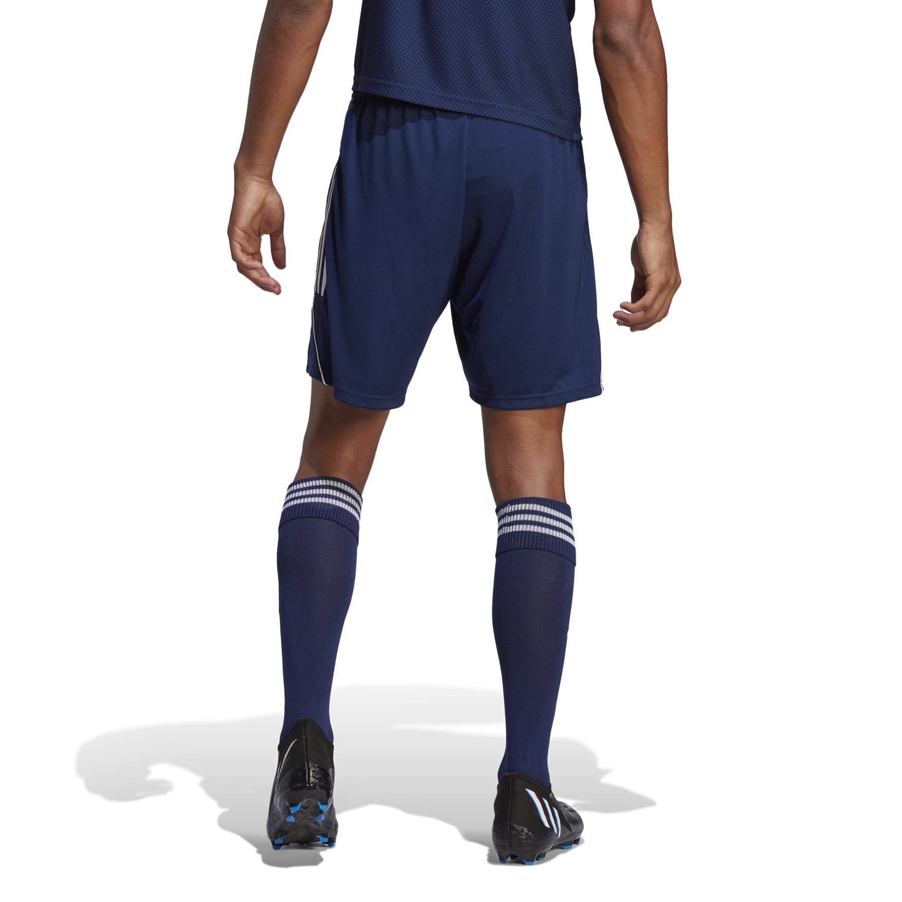 TIRO 23 League Shorts Training Shorts adidas