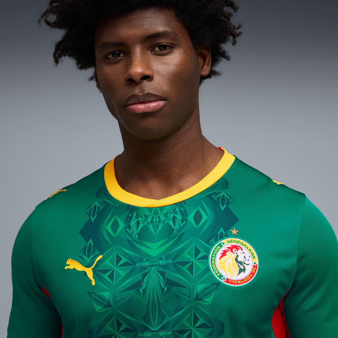 Senegal 2026 Away Jersey Official Jerseys PUMA 
