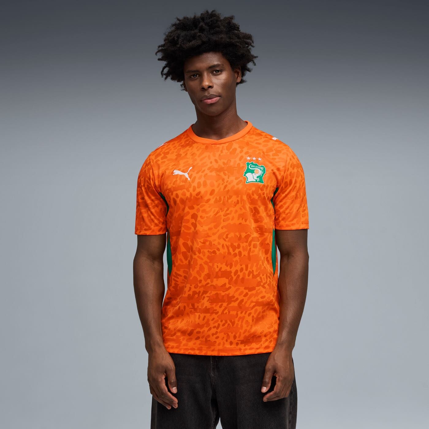 c-te-d-ivoire-2026-home-jersey-premium-soccer
