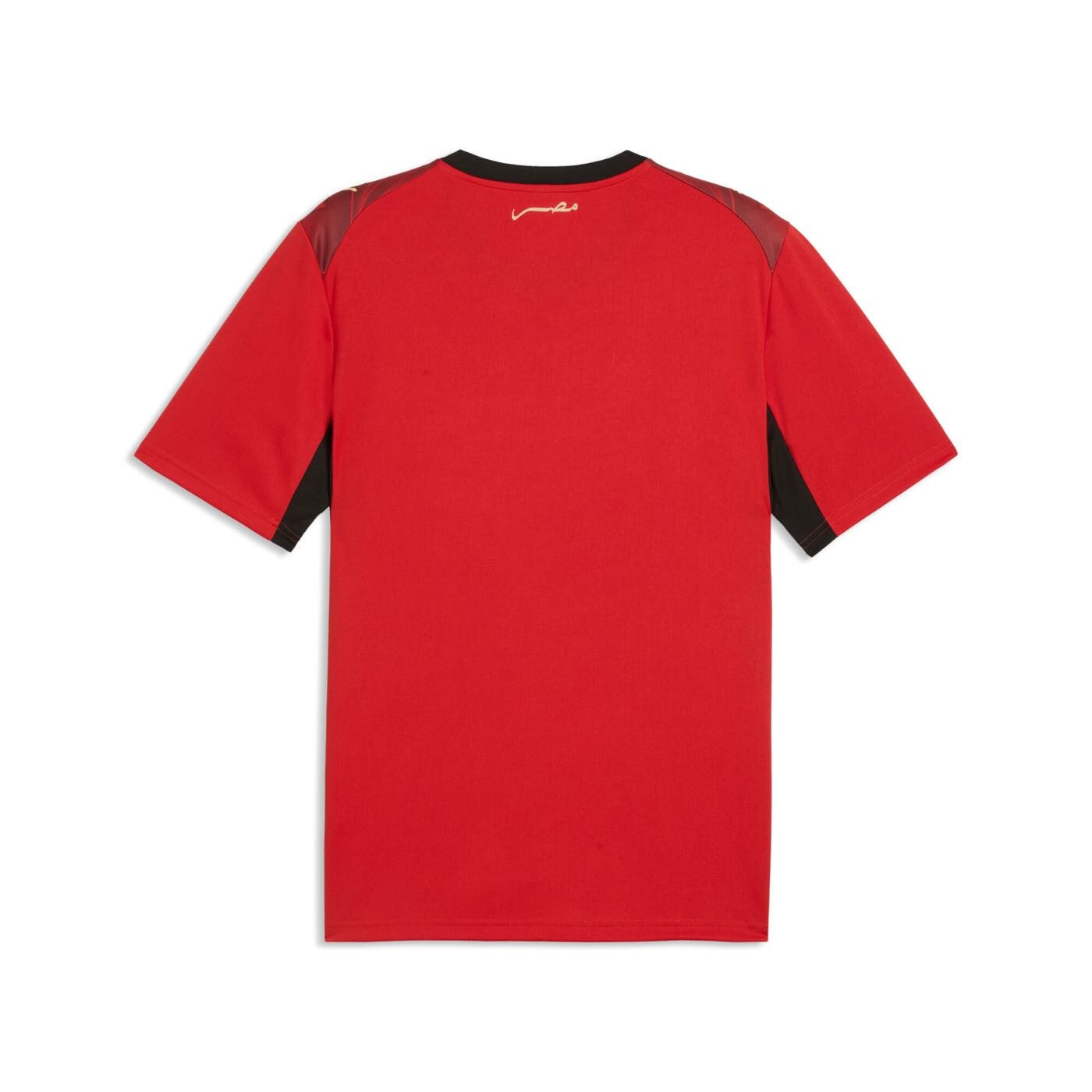 Egypt 2026 Home Jersey Official Jerseys PUMA 