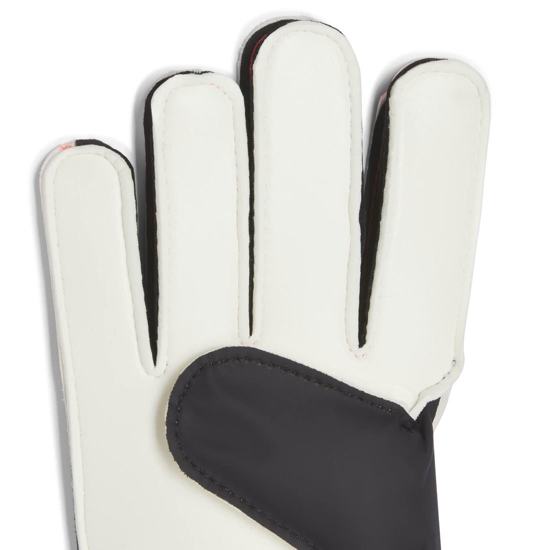 adidas Predator Training Gloves Jr. Goalie Gloves adidas 