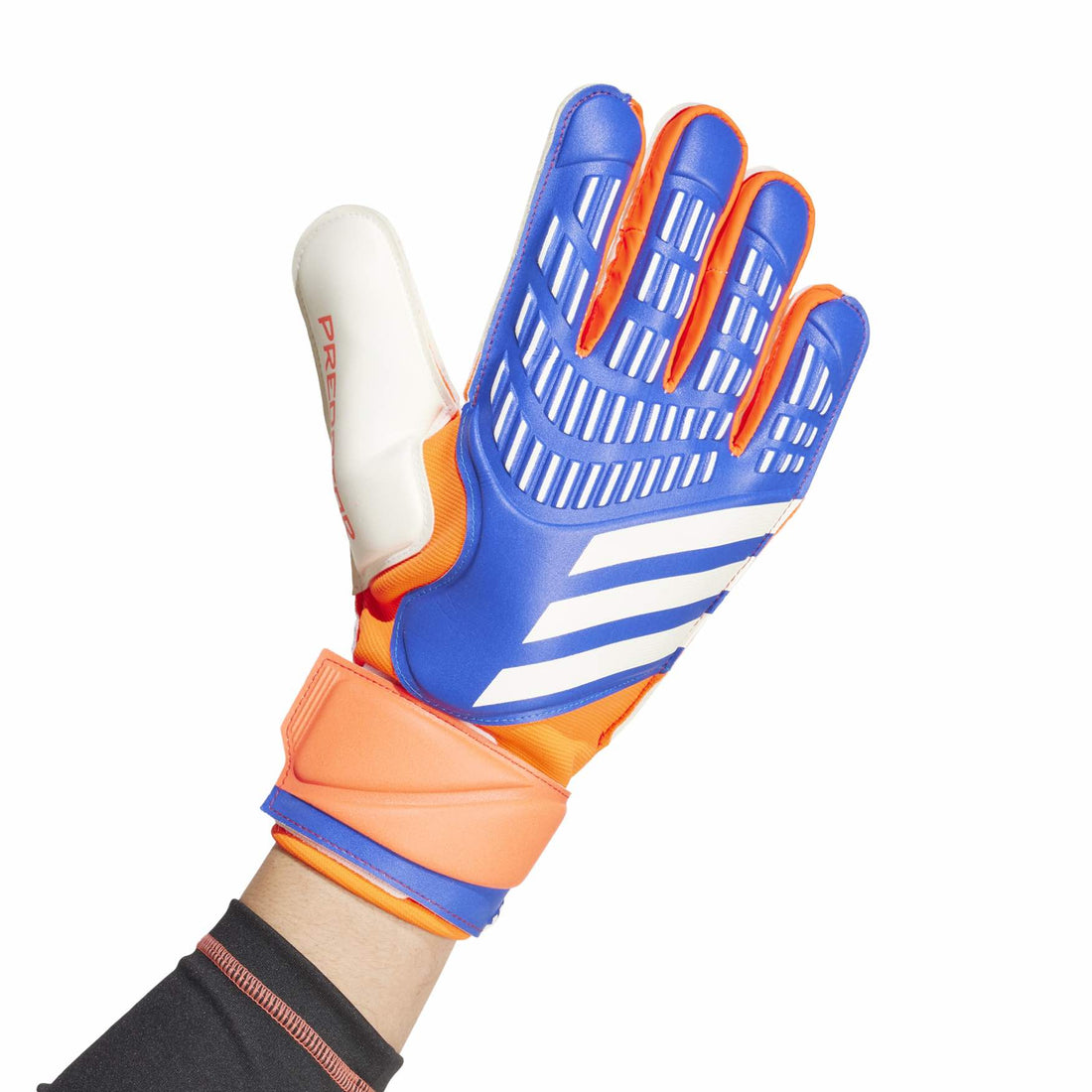 adidas Predator Match Goalkeeper Gloves